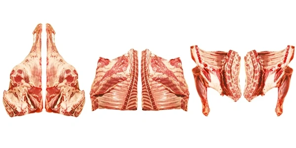 6 way cuts of mutton meat lamb